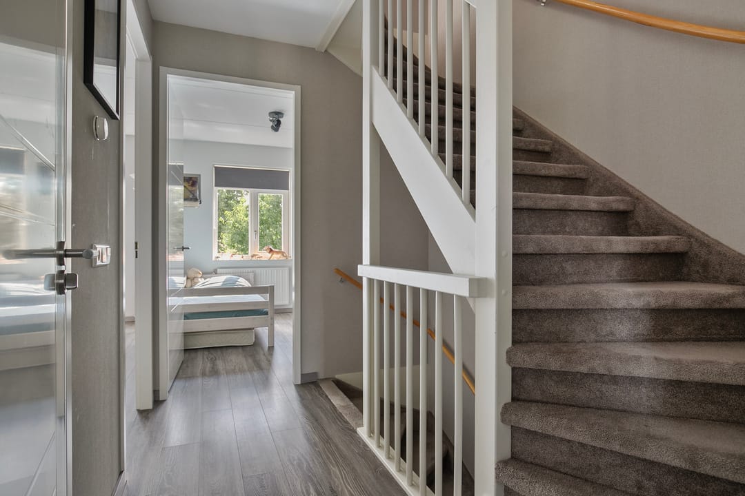 Foto 13 van Aalscholver 45