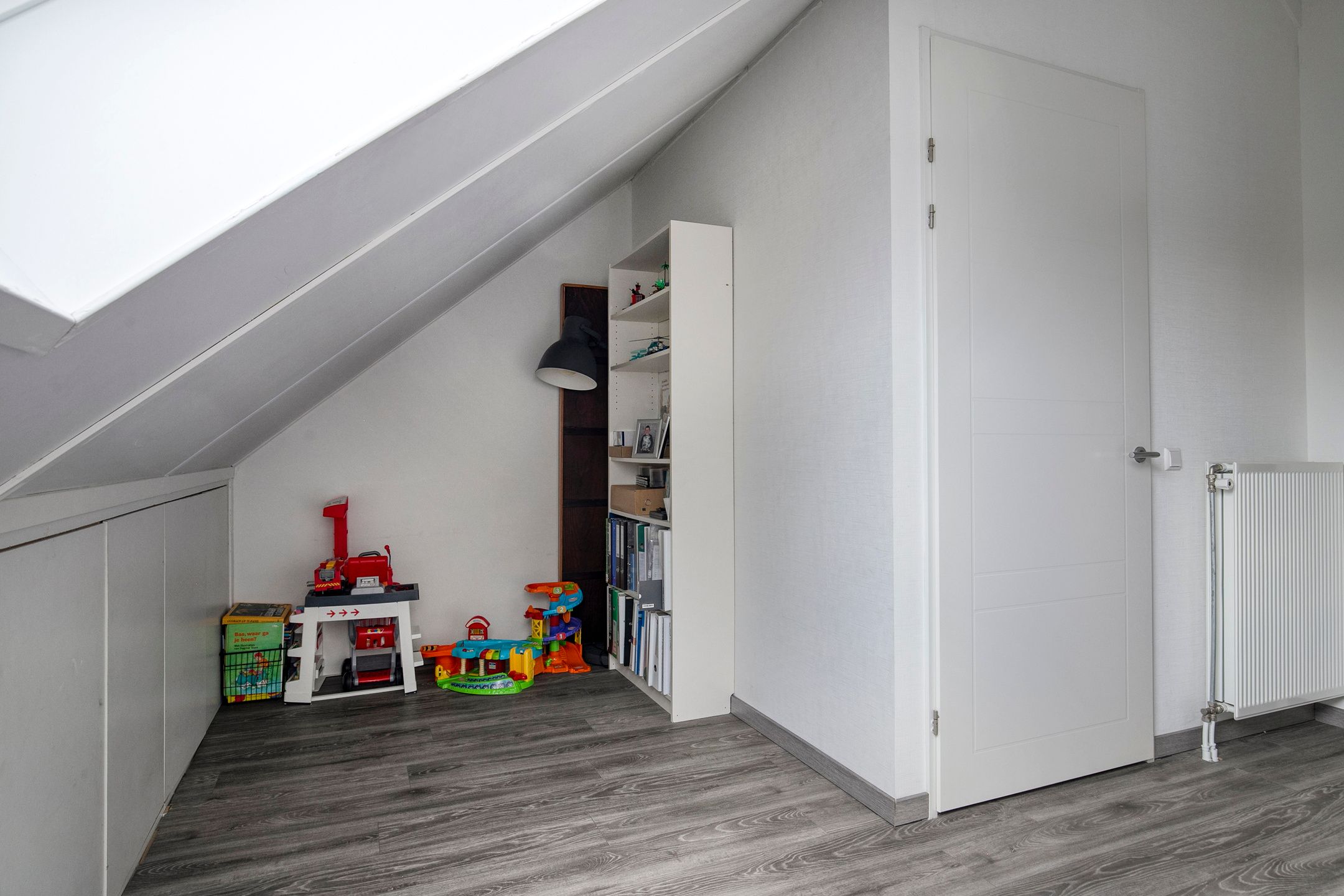 Foto 24 van Aalscholver 45