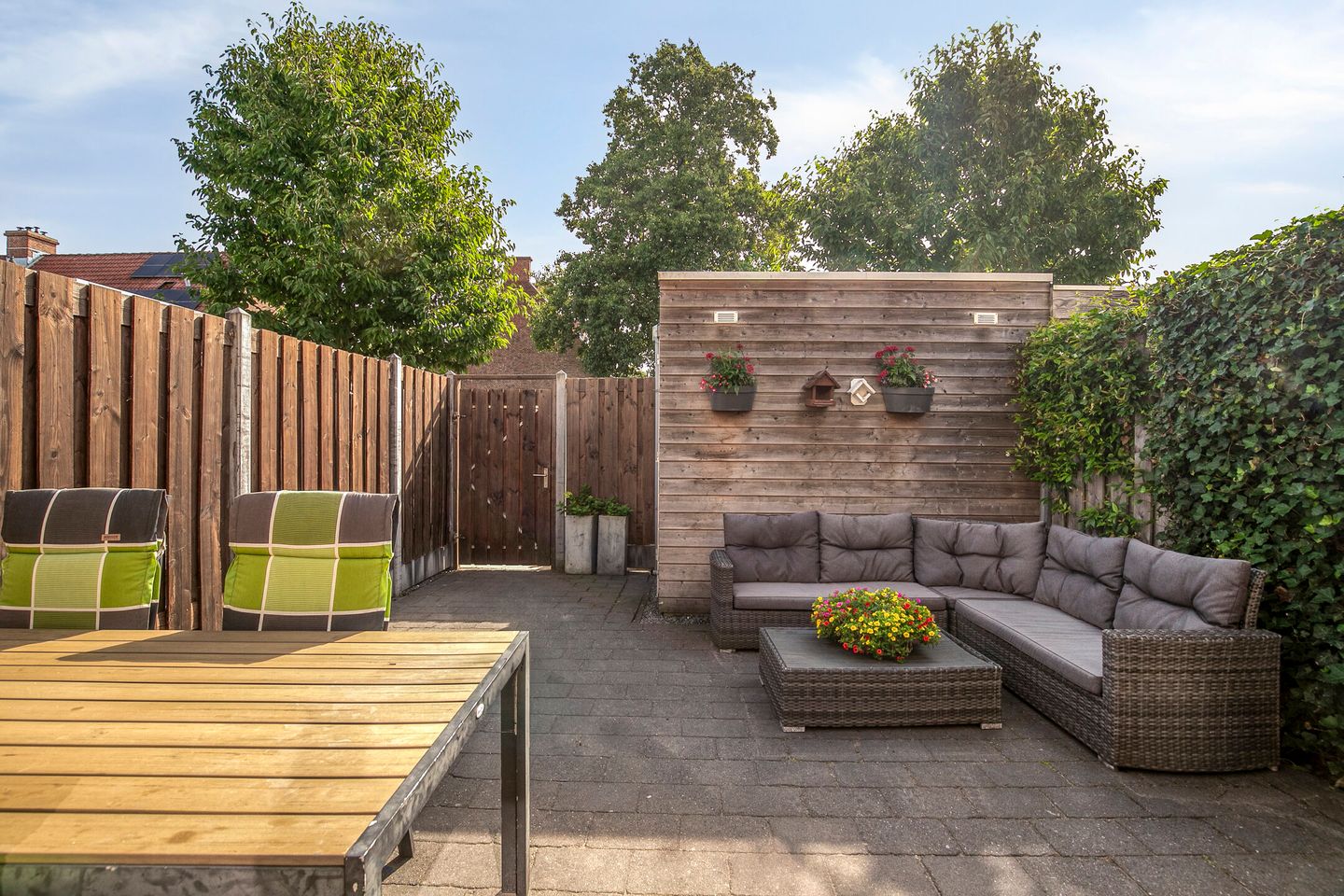 Foto 29 van Aalscholver 45