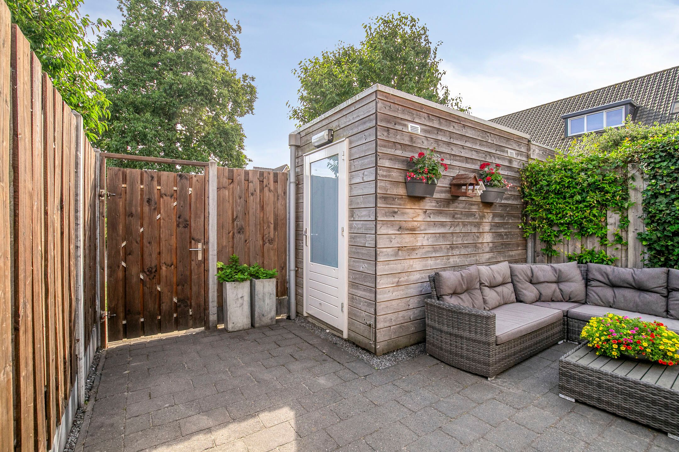 Foto 30 van Aalscholver 45