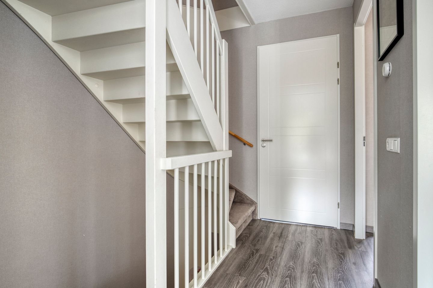 Foto 14 van Aalscholver 45