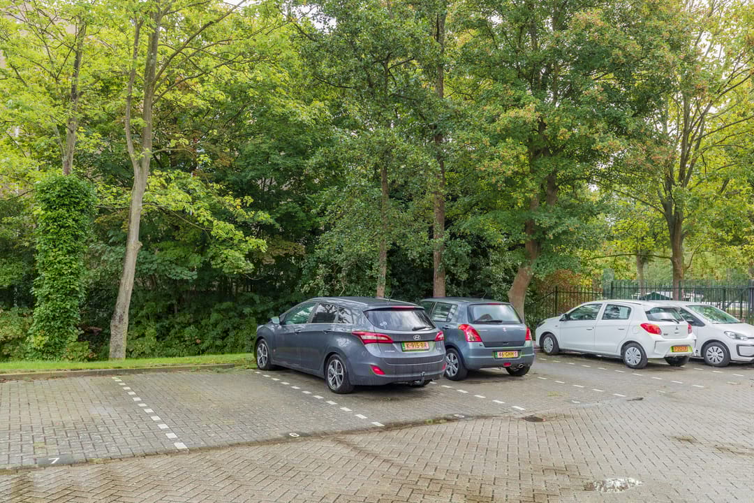 Photo 23 of Sigmaplantsoen 102