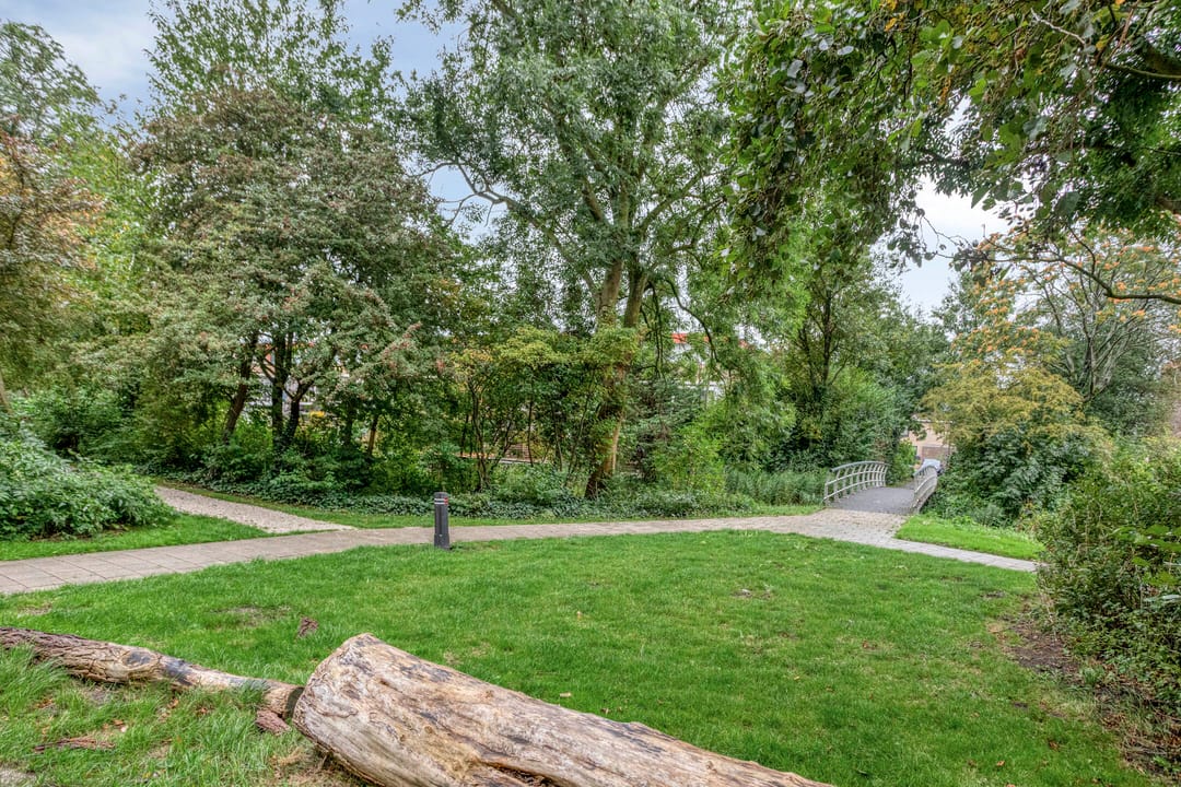 Foto 26 van De Roerdomp 26