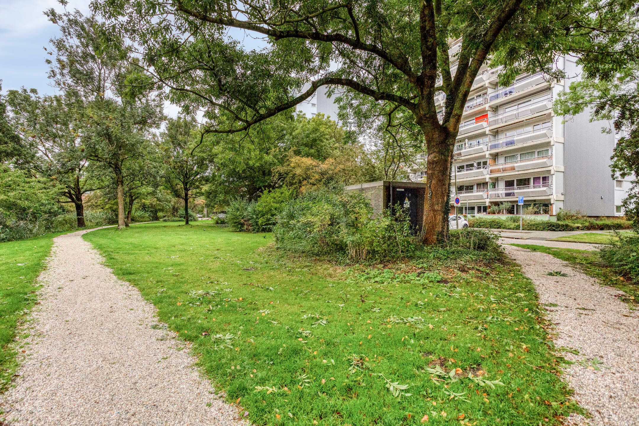 Foto 27 van De Roerdomp 26