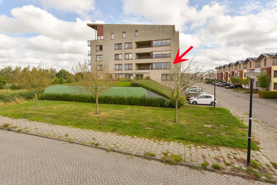 Photo 1 of Korenbloem 96