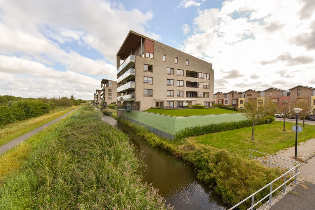 Photo 23 of Korenbloem 96