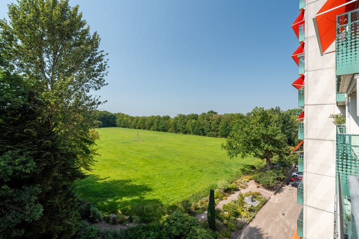 Foto 31 van Hoofdweg 412