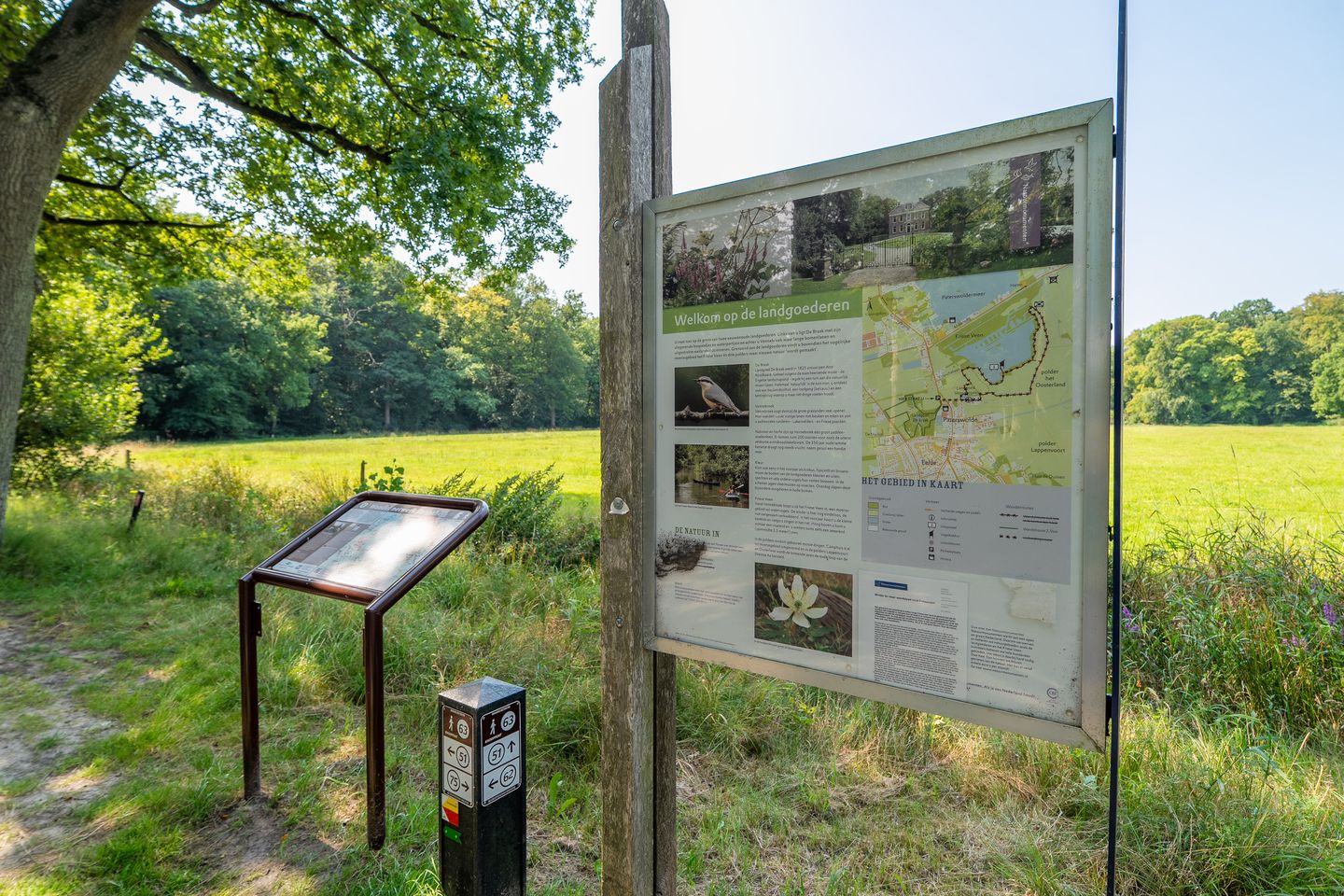 Foto 40 van Hoofdweg 412