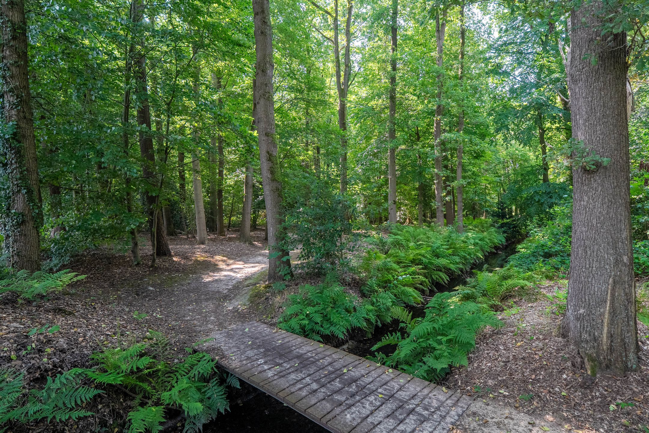 Foto 42 van Hoofdweg 412