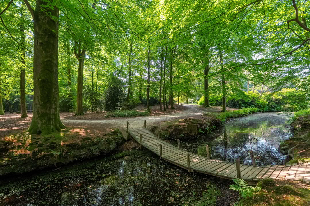 Foto 43 van Hoofdweg 412