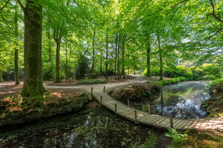 Foto 43 van Hoofdweg 412