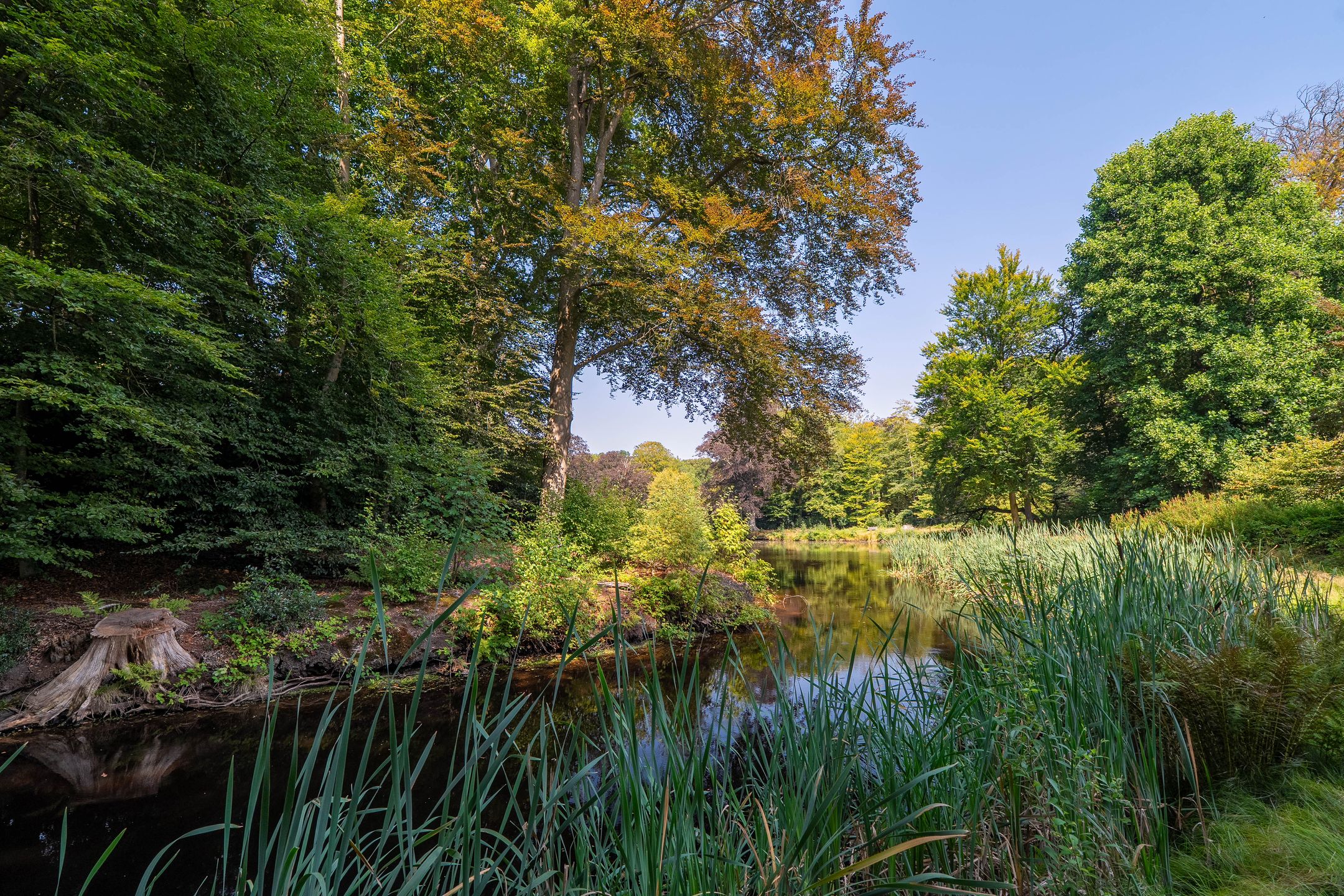 Foto 45 van Hoofdweg 412