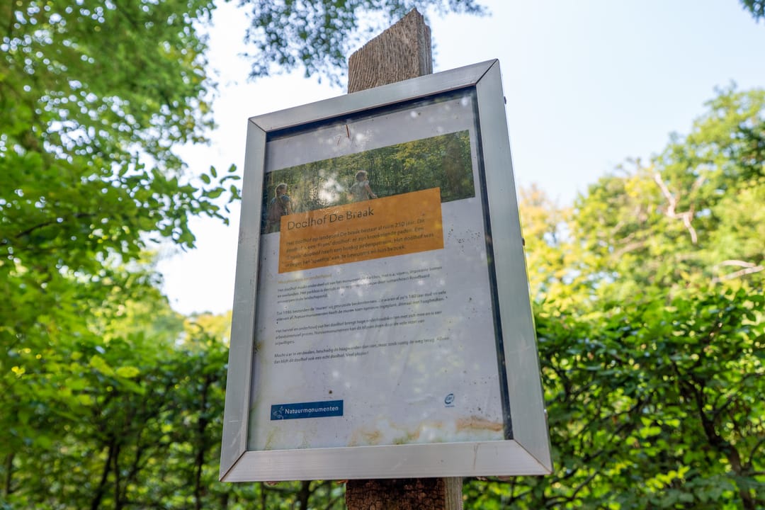 Foto 47 van Hoofdweg 412