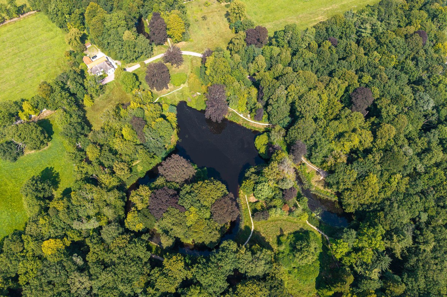 Foto 49 van Hoofdweg 412