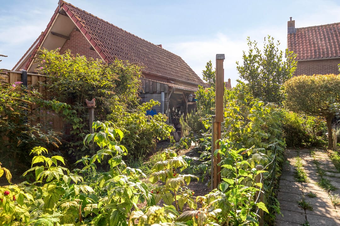 Photo 31 of Burg. Verplankeplein 12