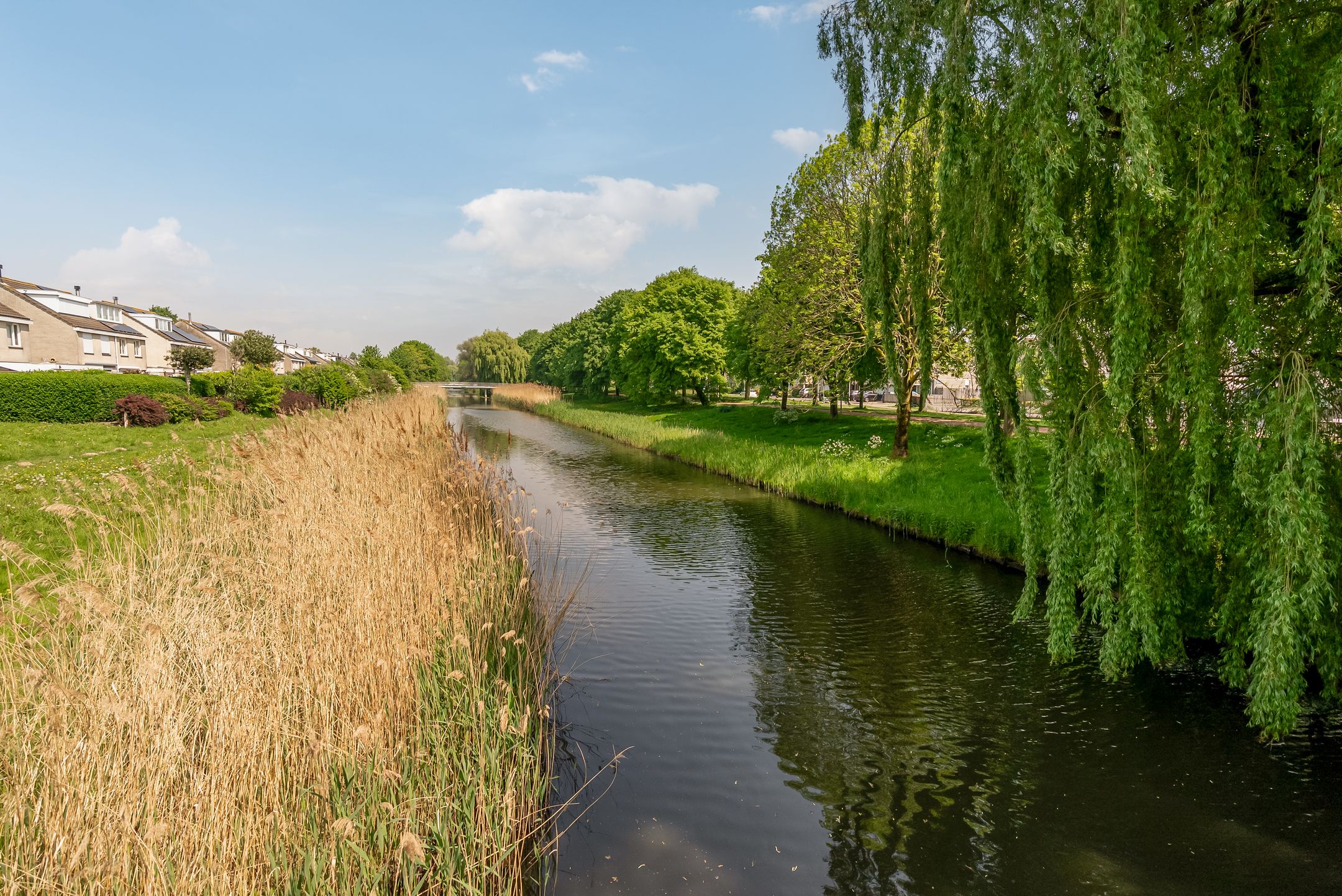 Foto 51 van Pinksterbloemweg 112