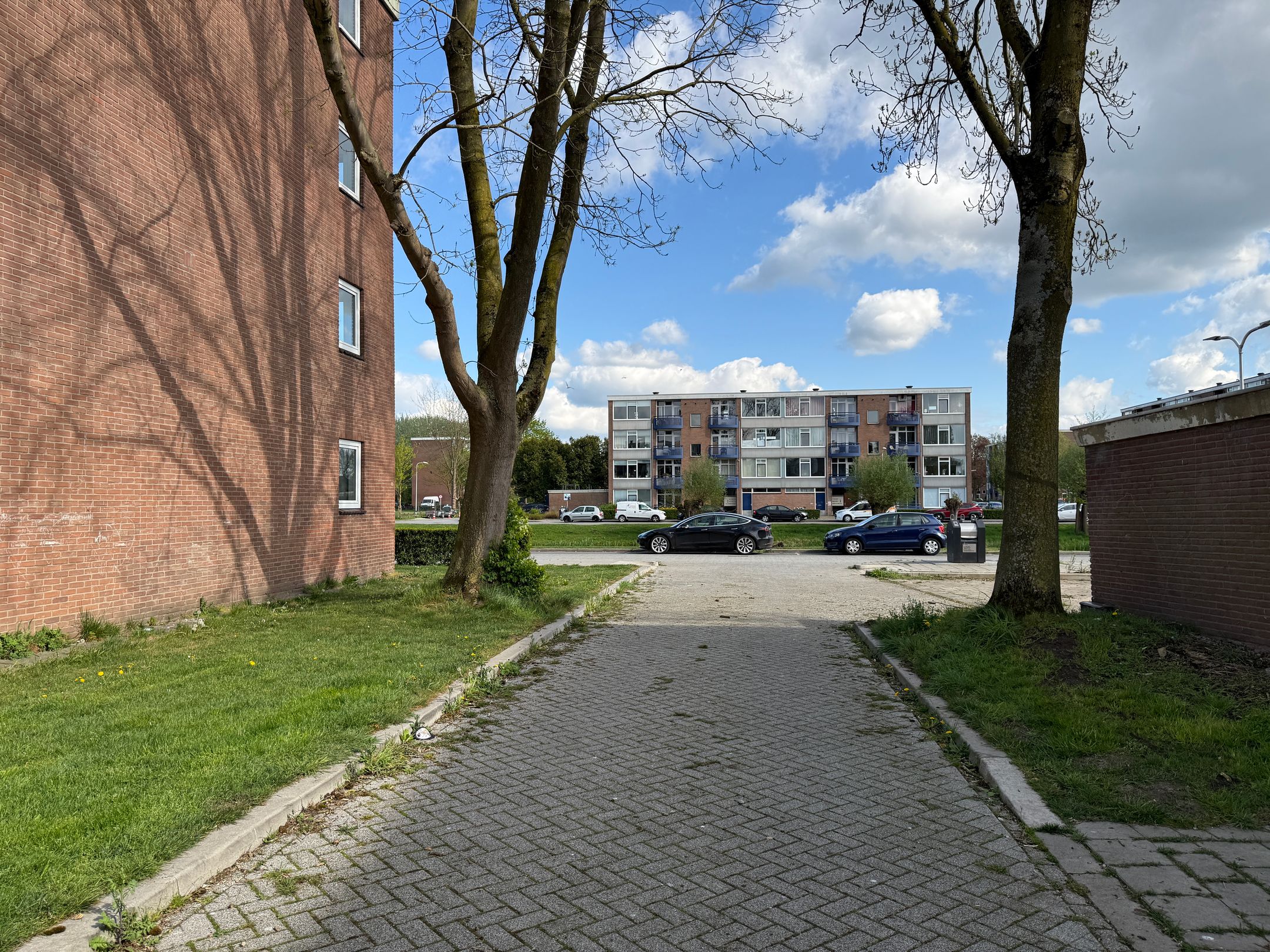 Foto 3 van Douwelerwetering 61