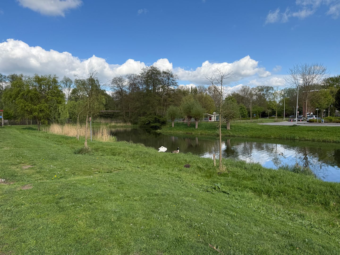 Foto 4 van Douwelerwetering 61