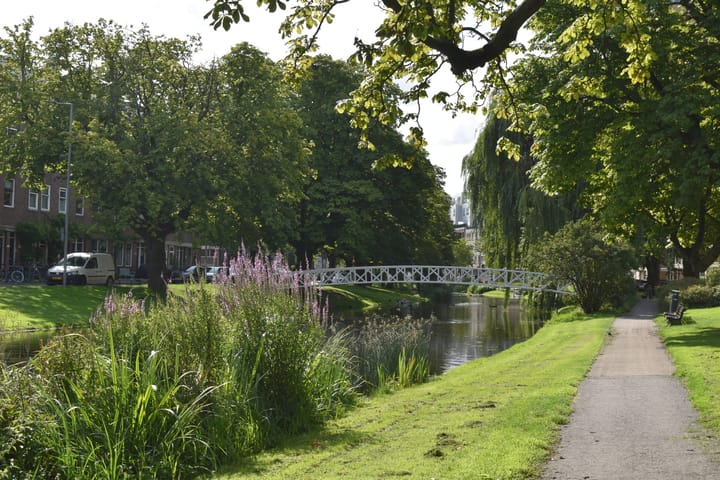 Foto 3 van Bergsingel 172-A