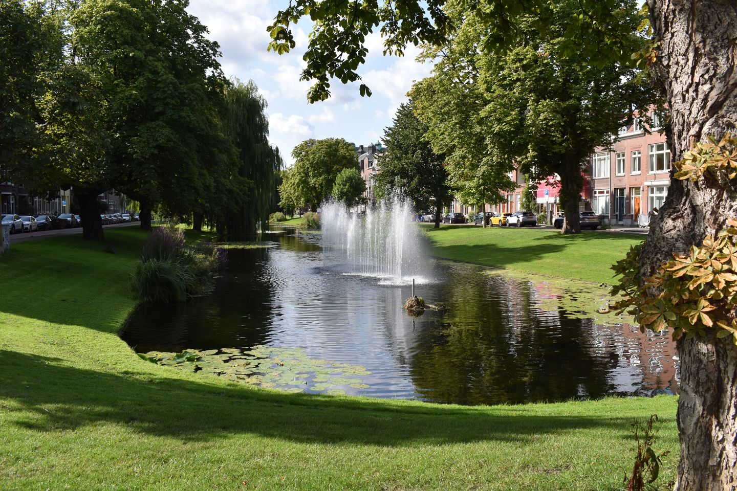 Photo 40 of Bergsingel 172-A