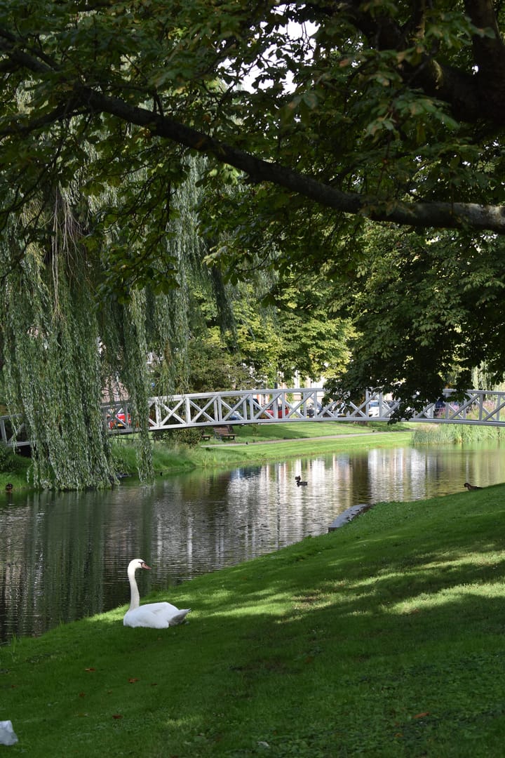 Foto 42 van Bergsingel 172-A