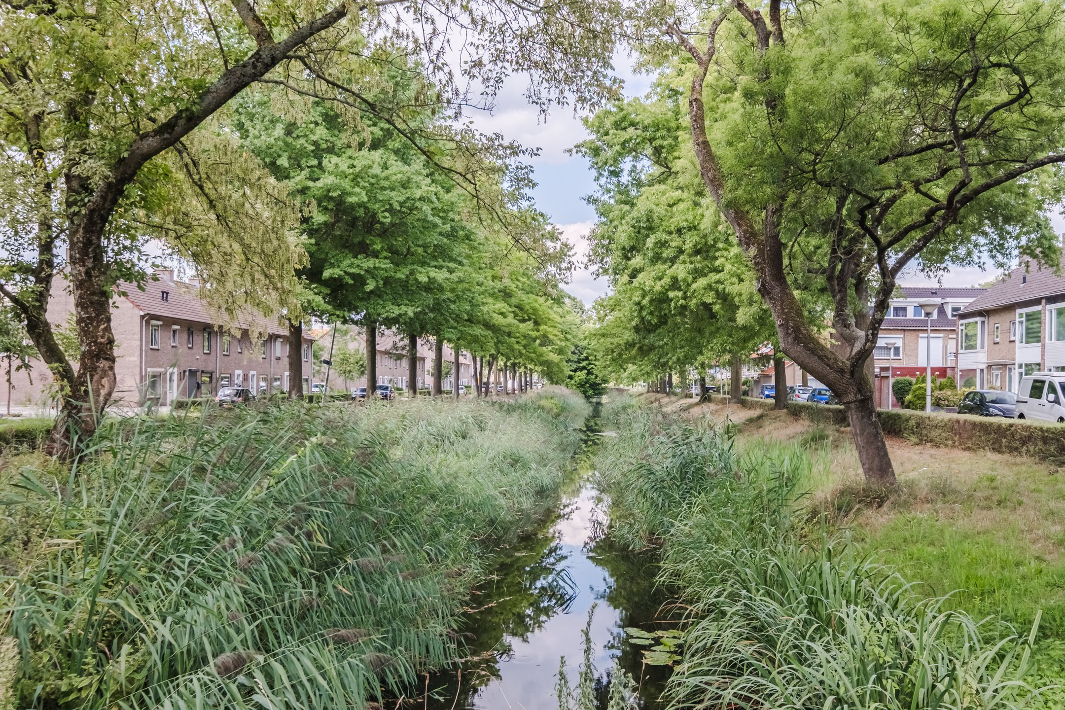 Foto 39 van Jan van Eyckgracht 191