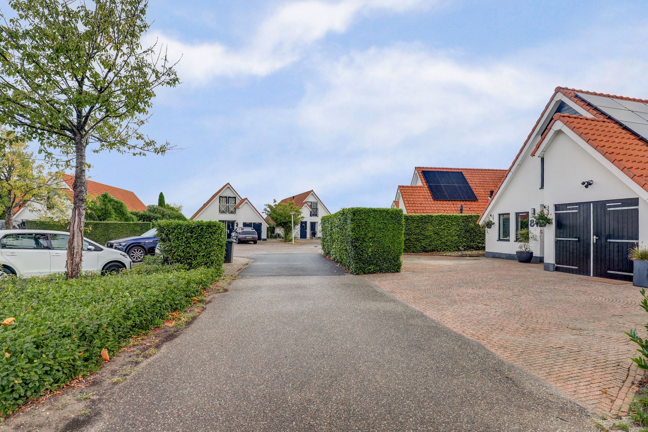 Foto 3 van IJsvogel 81