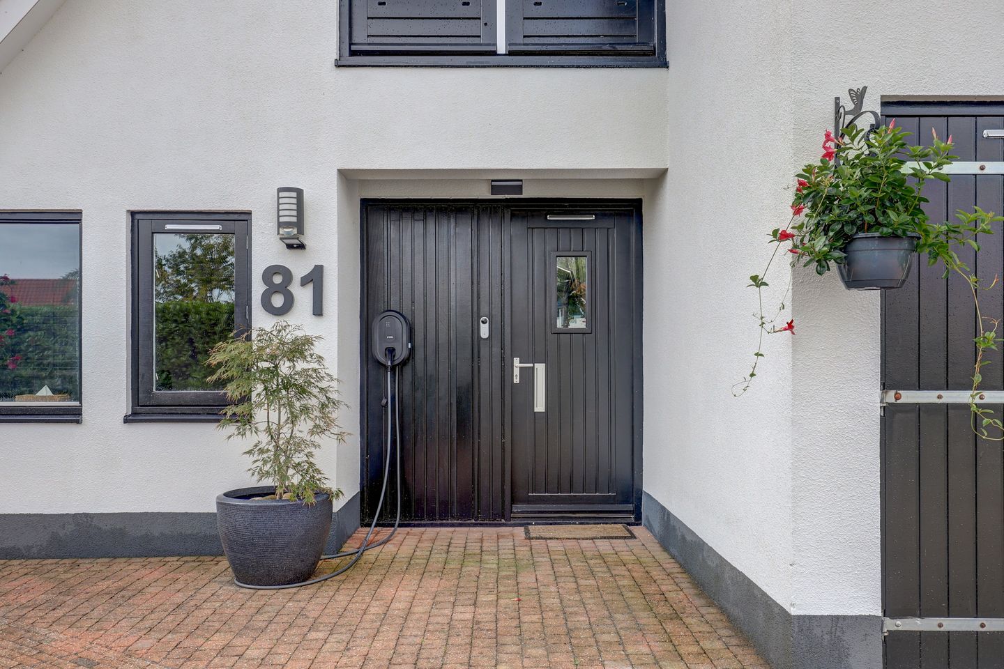 Foto 5 van IJsvogel 81