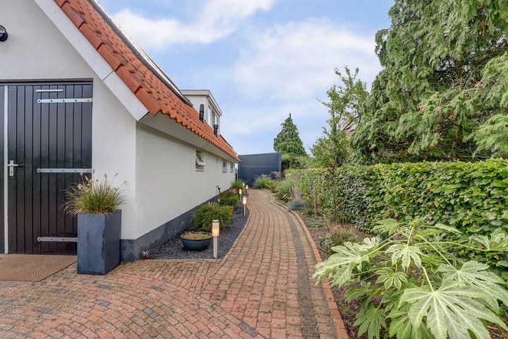 Foto 6 van IJsvogel 81