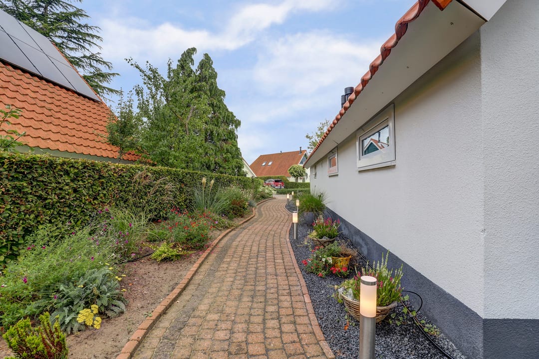 Foto 7 van IJsvogel 81