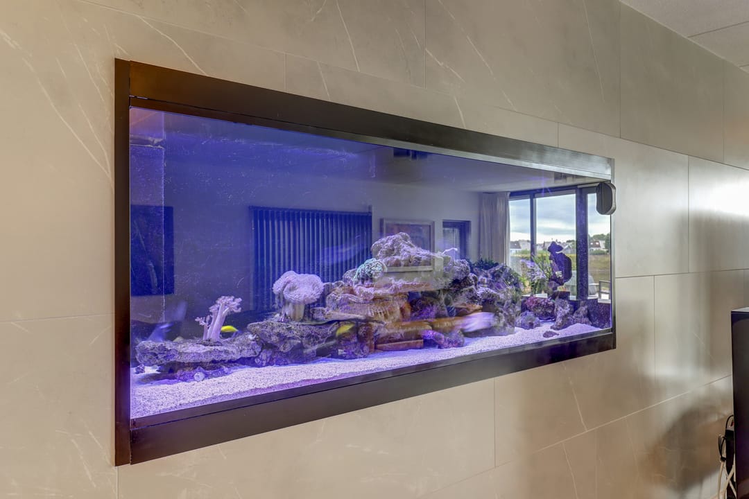 Foto 11 van IJsvogel 81