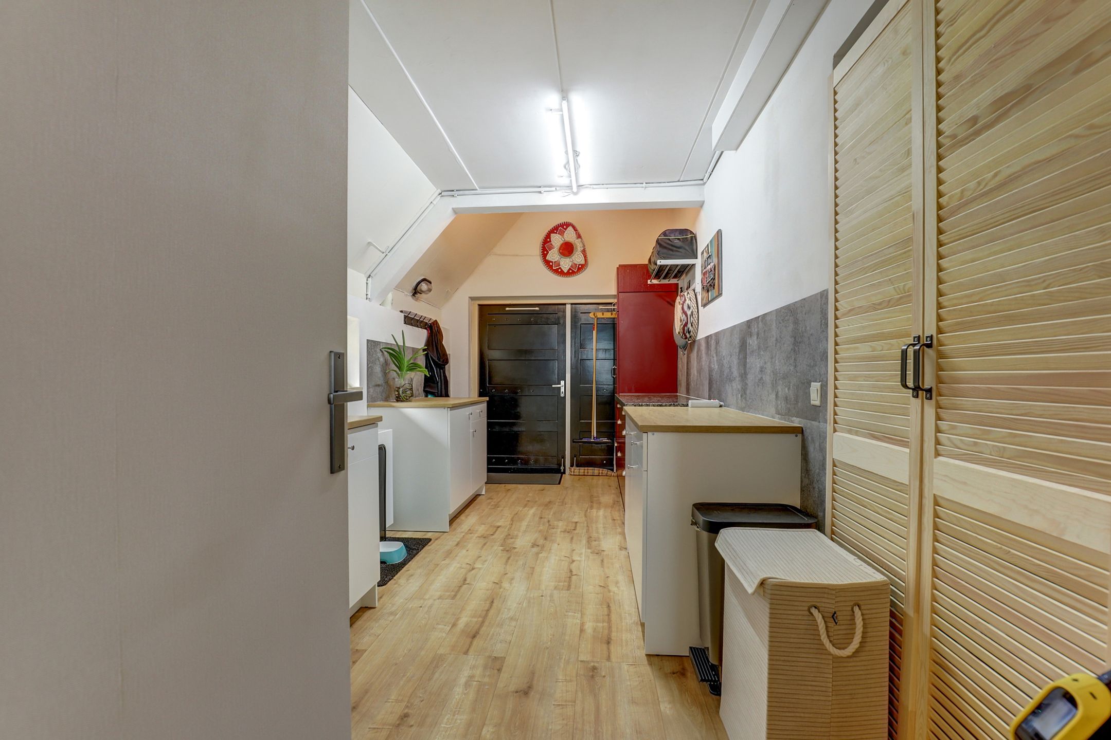 Foto 24 van IJsvogel 81