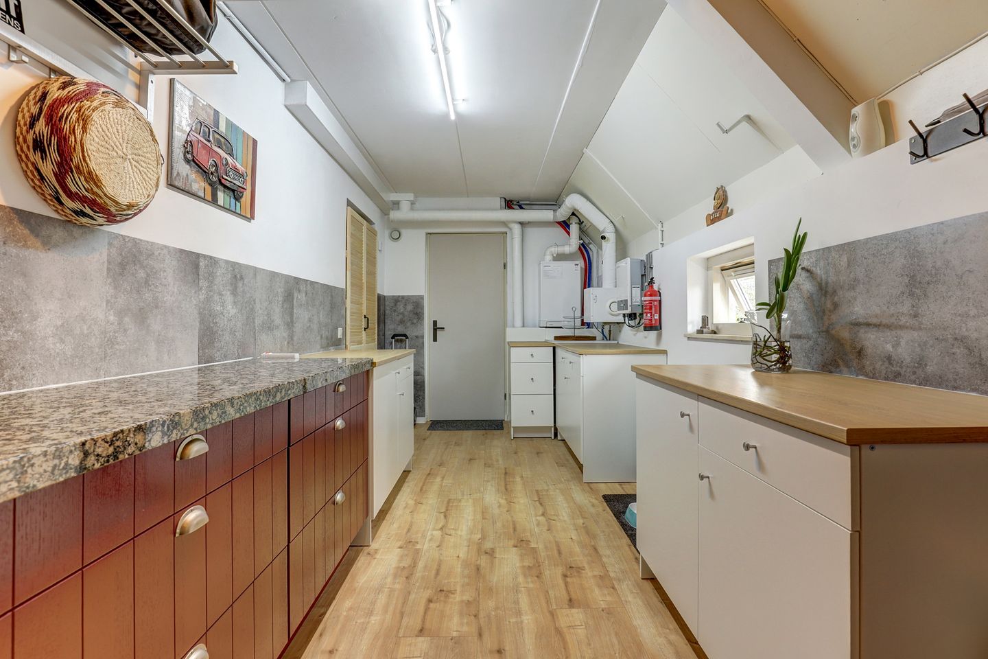 Foto 25 van IJsvogel 81