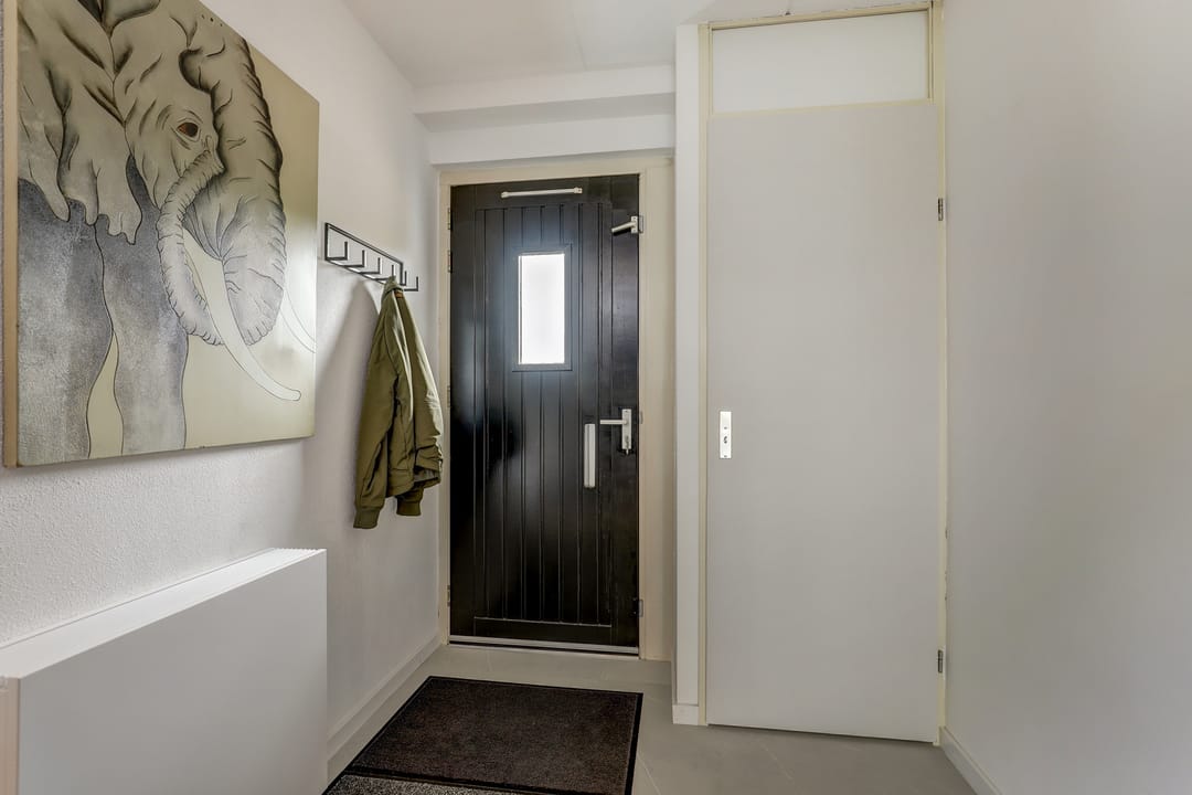 Foto 26 van IJsvogel 81