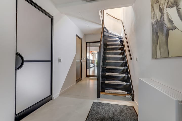 Foto 38 van IJsvogel 81