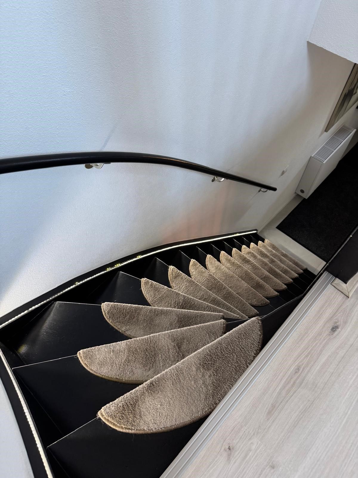 Foto 39 van IJsvogel 81