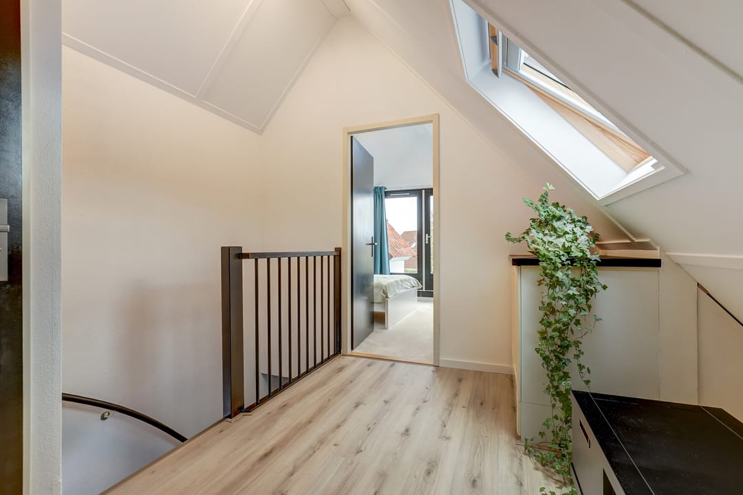 Foto 41 van IJsvogel 81