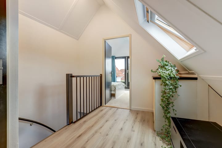 Foto 41 van IJsvogel 81