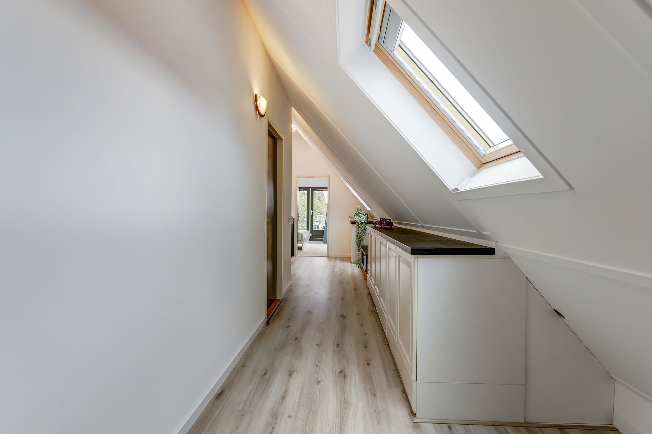 Foto 42 van IJsvogel 81