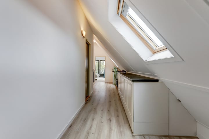 Foto 42 van IJsvogel 81