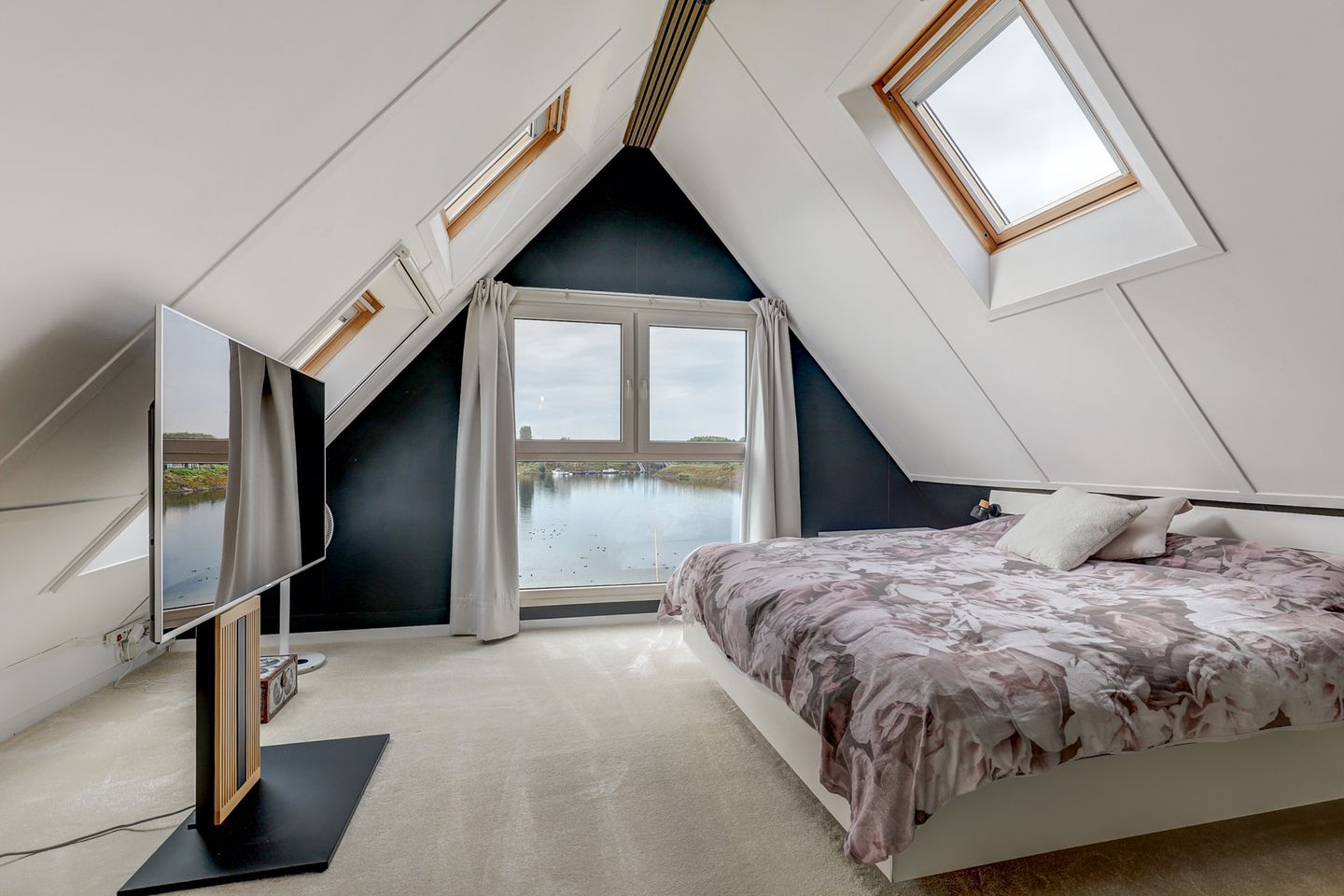 Foto 50 van IJsvogel 81