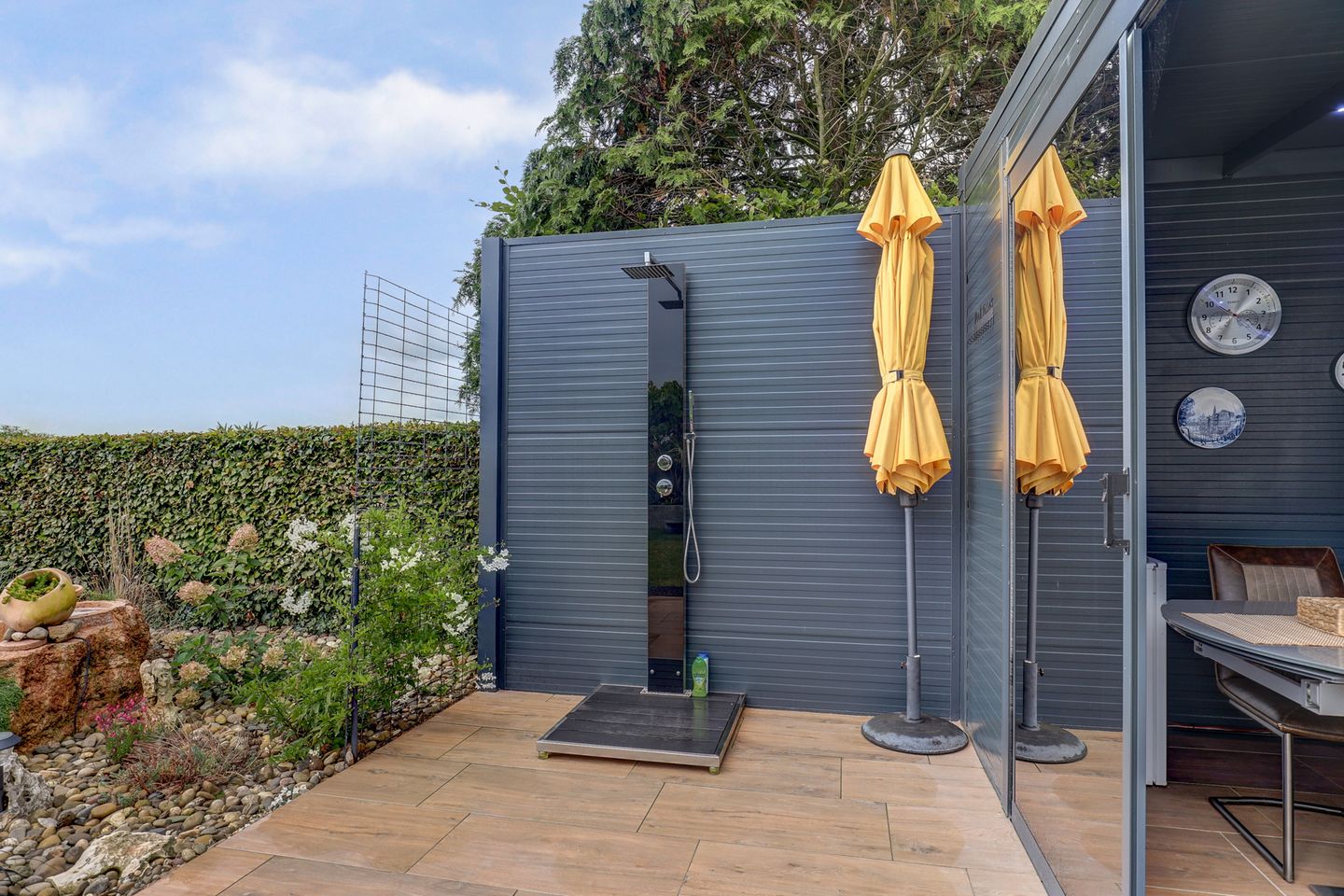 Foto 64 van IJsvogel 81