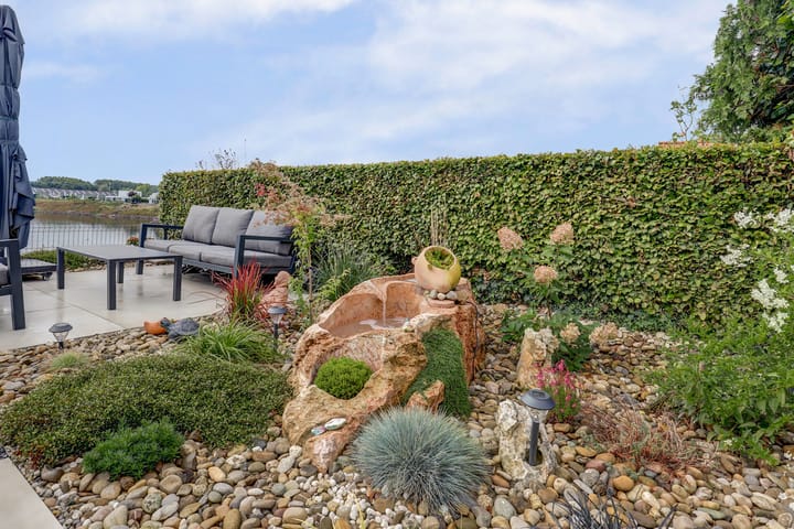 Foto 68 van IJsvogel 81