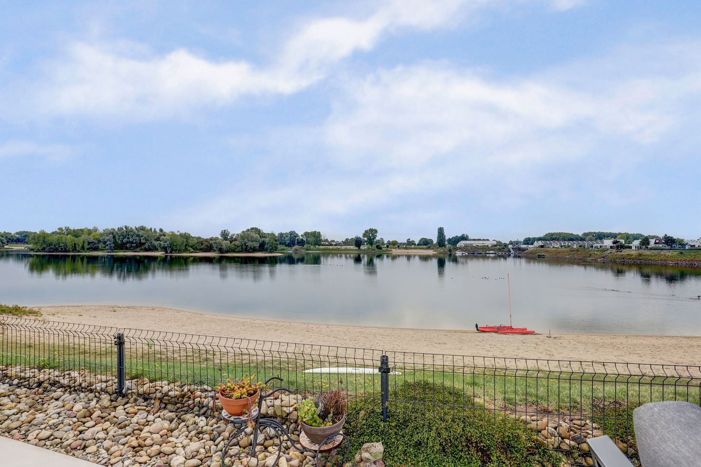 Foto 70 van IJsvogel 81