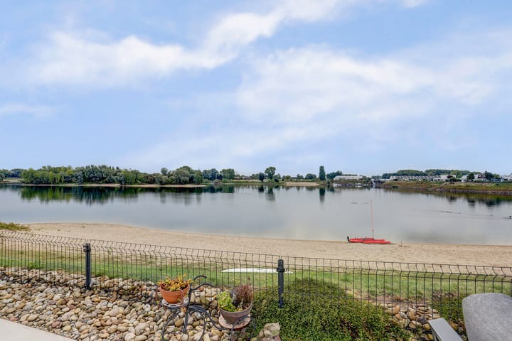 Foto 70 van IJsvogel 81