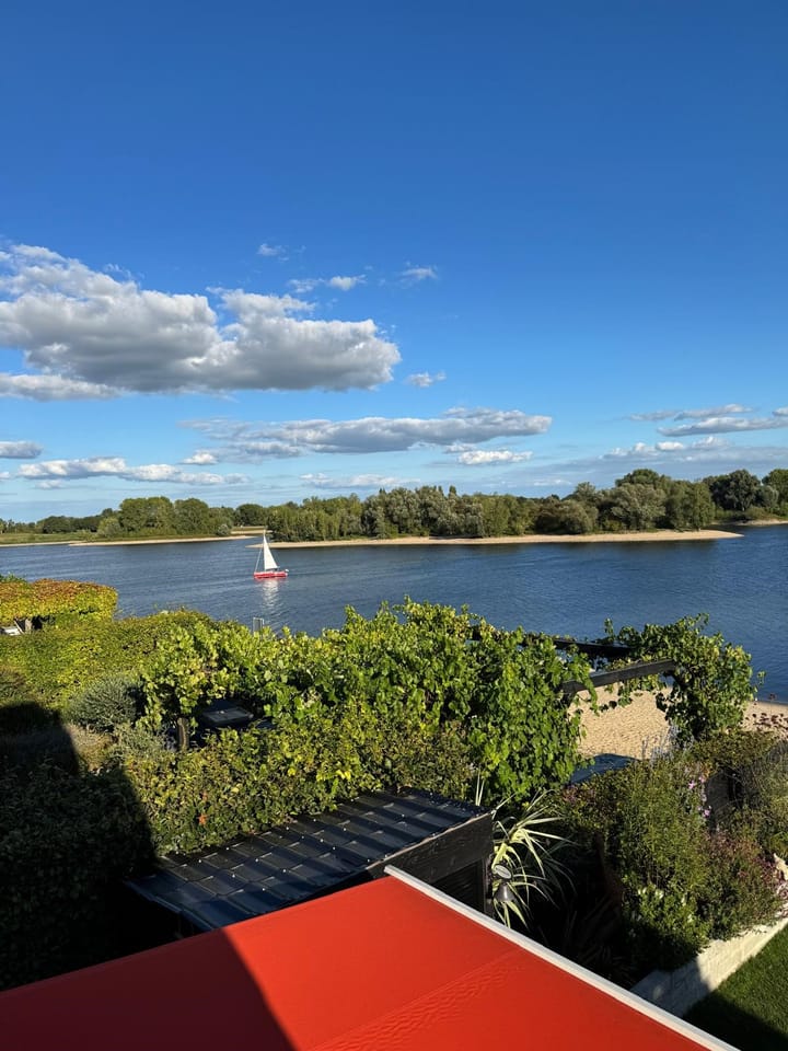 Foto 71 van IJsvogel 81