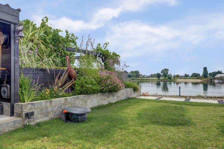 Foto 75 van IJsvogel 81