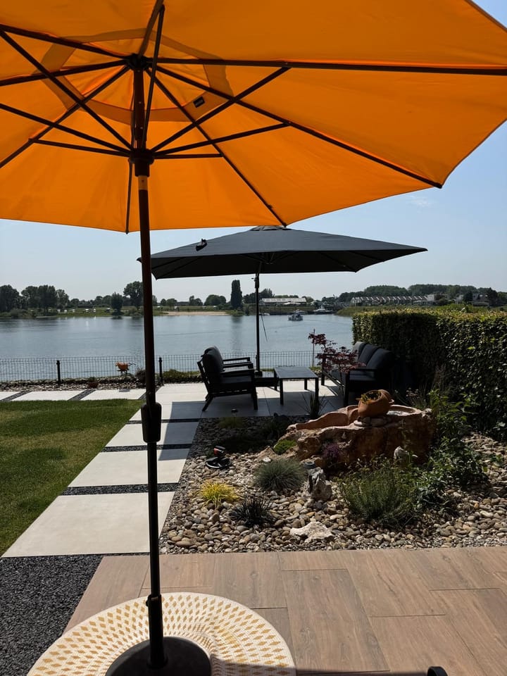 Foto 78 van IJsvogel 81