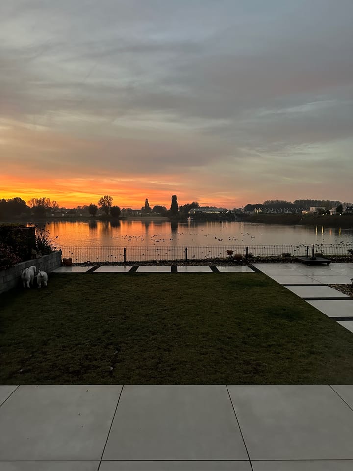 Foto 79 van IJsvogel 81