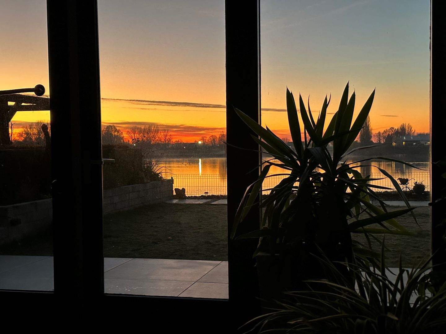 Foto 80 van IJsvogel 81